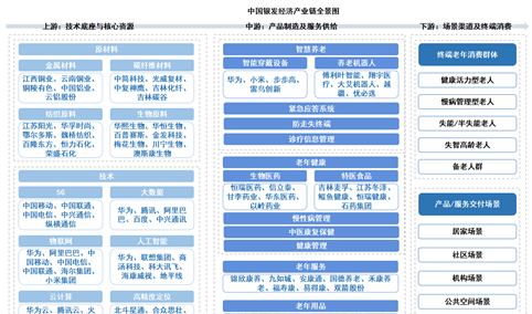 2026年中国银发经济产业链图谱及投资布局分析（附产业链全景图）
