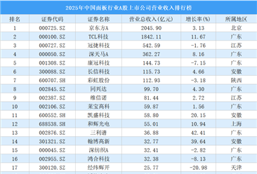 2025年中国面板行业A股上市公司营业收入排行榜（附榜单）