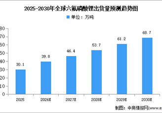 2026年全球六氟磷酸锂出货量及企业排名预测分析（图）