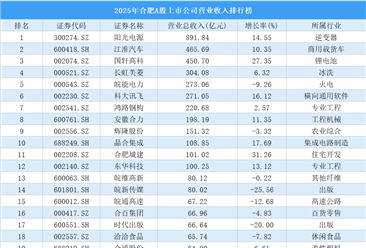 2025年合肥A股上市公司营业收入排行榜（附榜单）