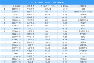 2025年长沙A股上市公司营业收入排行榜（附榜单）