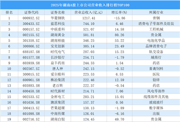 2025年湖南A股上市公司营业收入排行榜TOP100（附榜单）