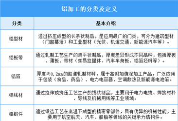 2026年中国铝加工行业市场前景预测研究报告（简版）