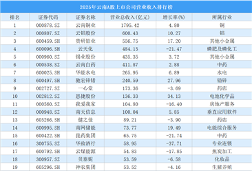 2025年云南A股上市公司营业收入排行榜（附榜单）