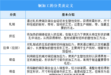 2026年中国铜加工行业市场前景预测研究报告（简版）