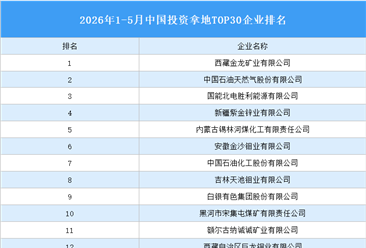 产业投资情报：2026年1-5月中国投资拿地TOP30企业排行榜（产业篇）
