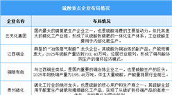 2026年中国硫酸产量及重点企业预测分析（图）