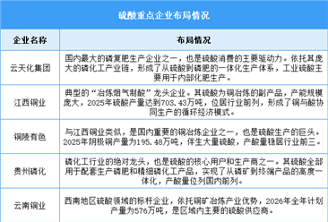 2026年中国硫酸产量及重点企业预测分析（图）