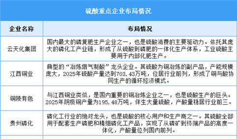 2026年中国硫酸产量及重点企业预测分析（图）