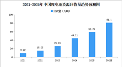 2026年中国锂电回收综合利用行业市场前景预测研究报告（简版）