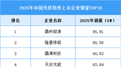 2026年中国光伏组件产量及企业排名预测分析（图）