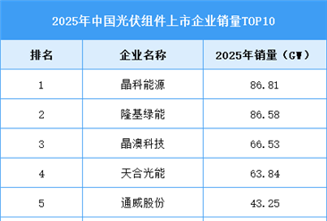 2026年中国光伏组件产量及企业排名预测分析（图）