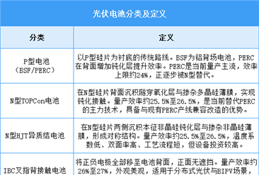 2026年中国光伏电池行业市场前景预测研究报告（简版）