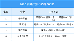 2026年中国算力芯片市场现状及企业排名预测分析（图）