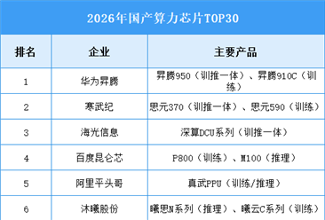 2026年中国算力芯片市场现状及企业排名预测分析（图）