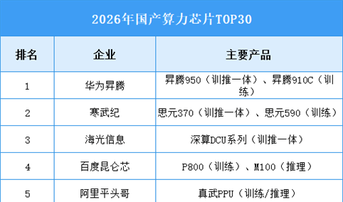 2026年中国算力芯片市场现状及企业排名预测分析（图）