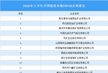 产业投资情报：2026年上半年中国投资拿地TOP30企业排行榜（产业篇）