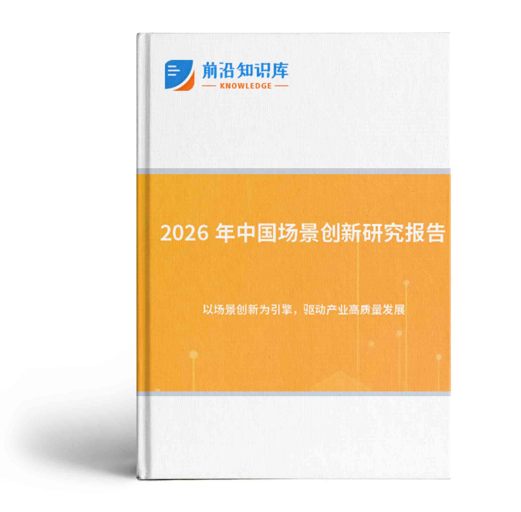 2026年中国场景创新研究报告