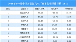2026年1-6月中国新能源汽车厂商零售销量排行榜TOP10（附榜单）