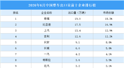 2026年6月中国整车出口前十企业排行榜（附榜单）