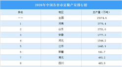 2026年中国各省市夏粮产量排行榜（附榜单）