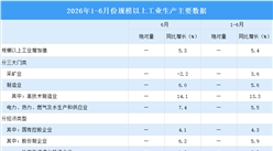 2026年6月中国规上工业增加值增长5.3% 制造业增长6%（图）