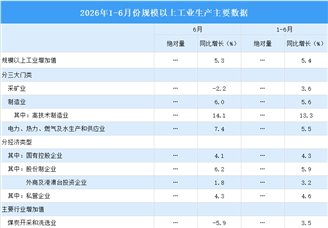 2026年6月中国规上工业增加值增长5.3% 制造业增长6%（图）