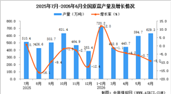2026年6月全国原盐产量数据统计分析