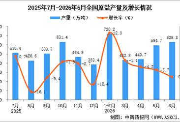 2026年6月全国原盐产量数据统计分析