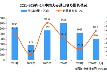 2026年1-6月中国大麦进口数据统计分析：进口量同比增长58.4%