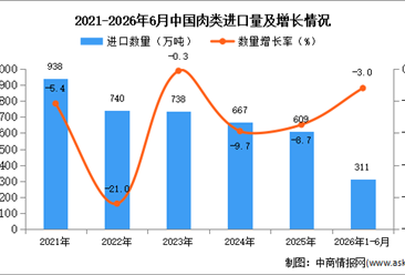 2026年1-6月中国肉类进口数据统计分析：进口量31万吨