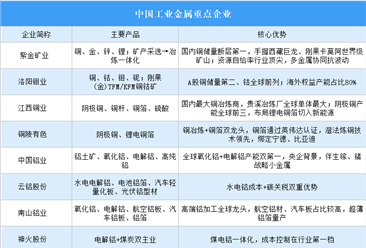 2026年中国工业金属重点企业及企业分布分析（图）