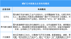 2026年中国磷矿石产量及重点企业预测分析（图）