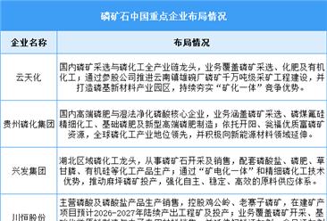 2026年中国磷矿石产量及重点企业预测分析（图）