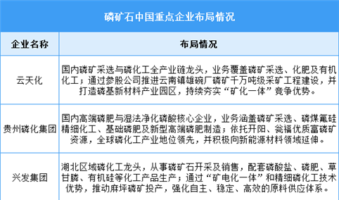 2026年中国磷矿石产量及重点企业预测分析（图）