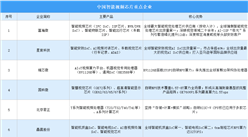 2026年中国智能视频芯片重点企业及企业分布分析（图）