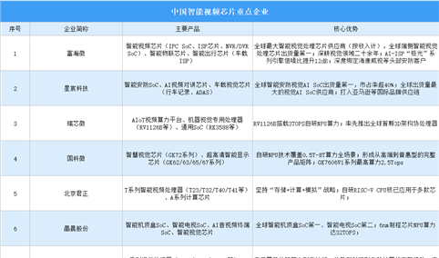 2026年中国智能视频芯片重点企业及企业分布分析（图）