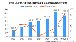 2026年1-6月中国有色金属矿采选业经营情况：利润同比增长80.0%