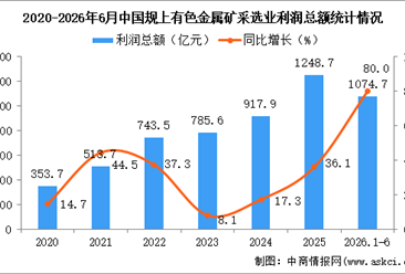 2026年1-6月中国有色金属矿采选业经营情况：利润同比增长80.0%