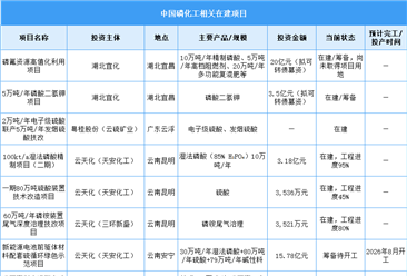 2026年中国磷化工市场现状及在建项目预测分析（图）