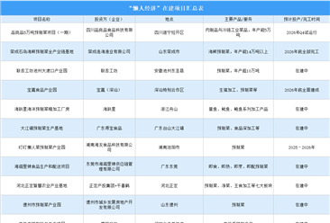 2026年中国“懒人经济”重点企业及在建项目分析（图）