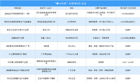 2026年中国“懒人经济”重点企业及在建项目分析（图）