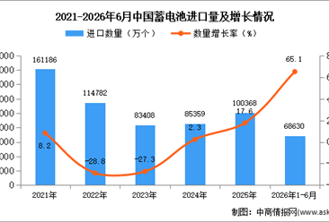 2026年1-6月中国蓄电池进口数据统计分析：进口量68630万个