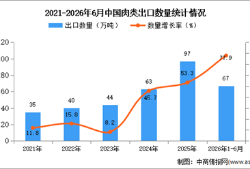 2026年1-6月中国肉类出口数据统计分析：出口量同比增长77.9%
