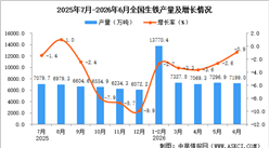 2026年6月全国生铁产量数据统计分析