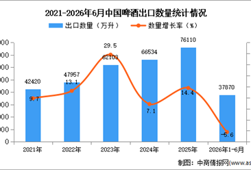 2026年1-6月中国啤酒出口数据统计分析：出口量同比下降5.6%