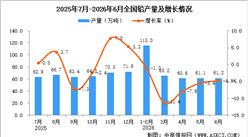 2026年6月全国铅产量数据统计分析