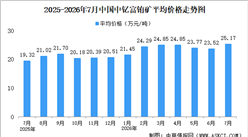 2026年7月中国稀土价格走势分析：价格指数呈波动上涨态势