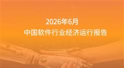 2026年1-6月中国软件行业经济运行报告（附全文）