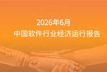 2026年1-6月中国软件行业经济运行报告（附全文）